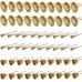 Brass Wire Wheel Brushes